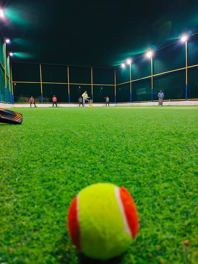 Tom's Cricket Arena