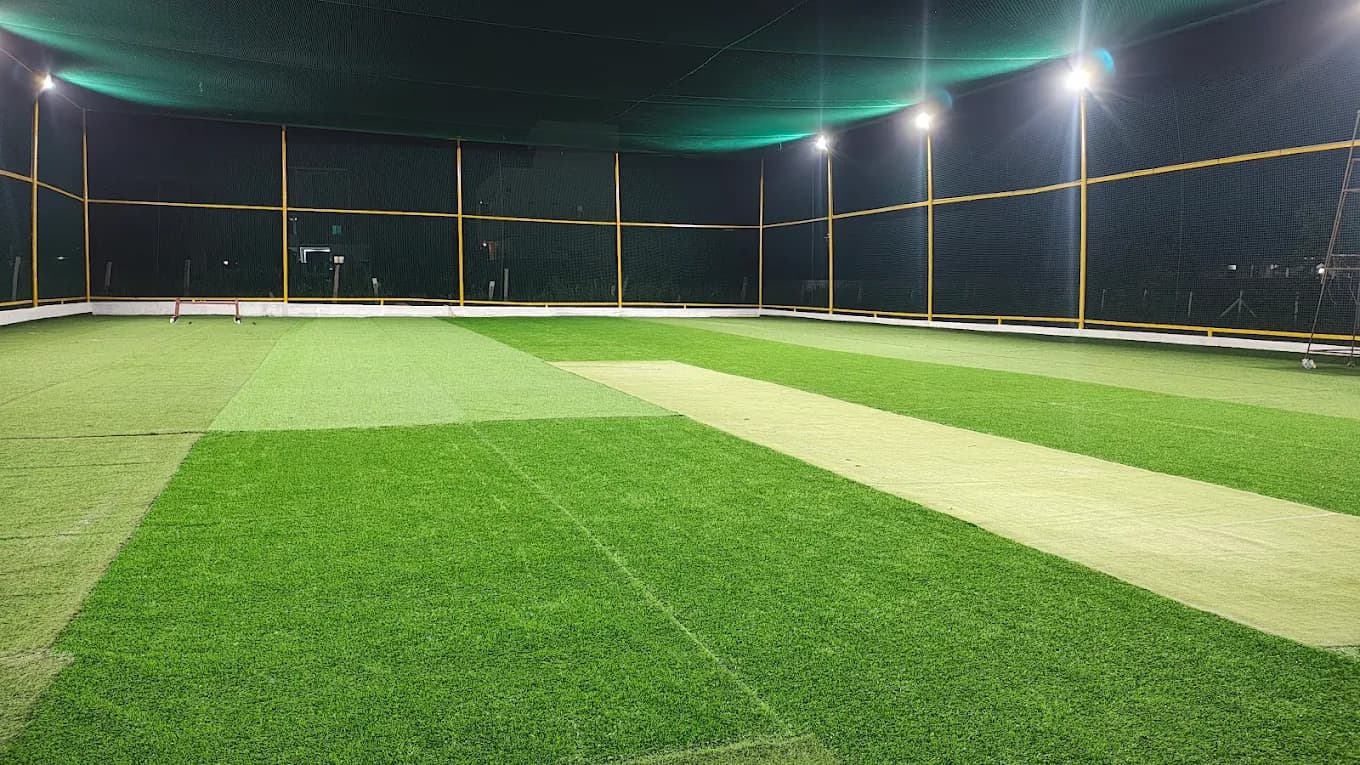Tom's Cricket Arena
